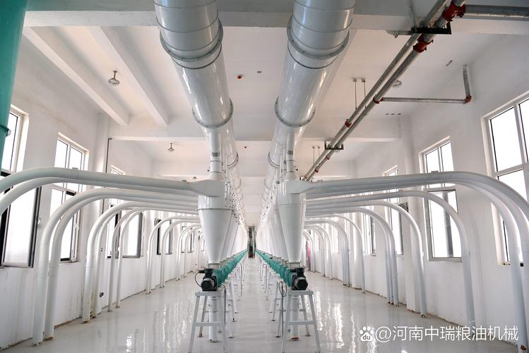 近年来,随着农业现代化的推进和农产品加工业的不断发展,玉米深加工